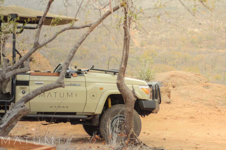 Big 5 Safari Am or Pm - Kruger National Park and the Four-Hour Game Drive