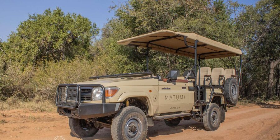 Big 5 Safari Am or Pm - Morning or Afternoon: Which Should You Choose?