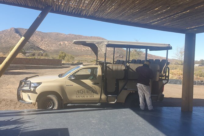 Big 5 Safari Aquila Full Day Private Return From Cape Town - What the two to three hour game drive feels like