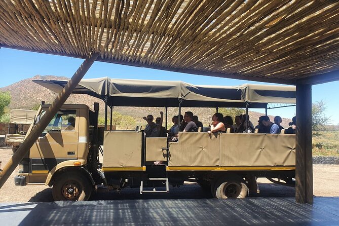 Big 5 Safari Aquila Full Day Private Return From Cape Town - Breakfast, lunch, and the pace of the day