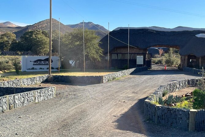 Big 5 Safari Aquila Full Day Private Return From Cape Town - Is $274.16 per person good value?