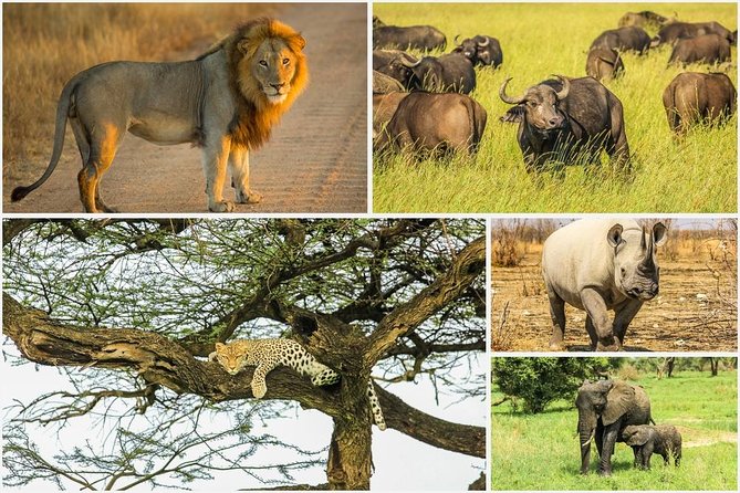 Big 5 Safari Experience at Pilanesberg National Park - Leaving Johannesburg for the park