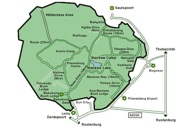 Big 5 Safari Experience at Pilanesberg National Park - The guide can shape the whole experience
