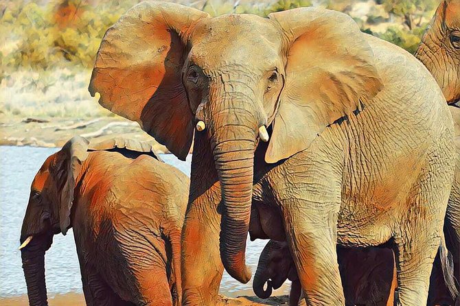 Big 5 Safari Experience at Pilanesberg National Park - Price, group size, and overall value