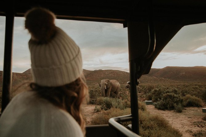 Big 5 Safari One Day Tour - Why Aquila works for a one-day safari