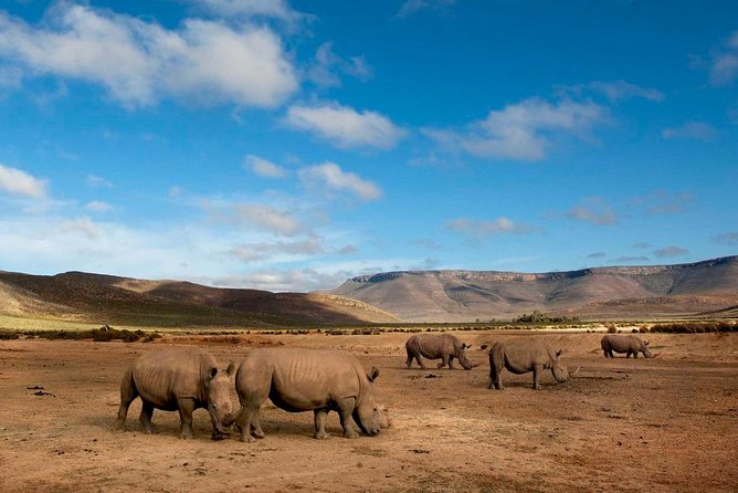 Big 5 Safari One Day Tour - The early drive through Du Toitskloof