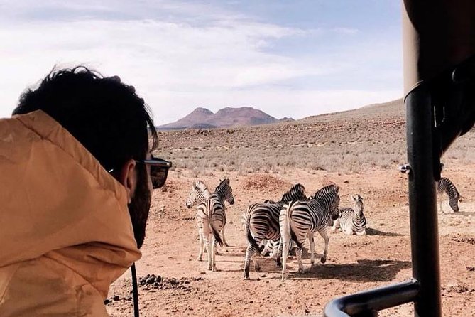 Big 5 Safari One Day Tour - Who should book this safari?