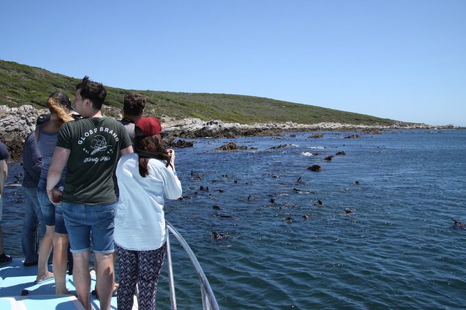 Big 5 Sea Safari in Walker Bay from Gansbaai - Leaving Gansbaai for Walker Bay