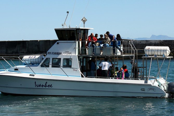 Big 5 Sea Safari in Walker Bay from Gansbaai - De Kelders and De Platt Beach by boat