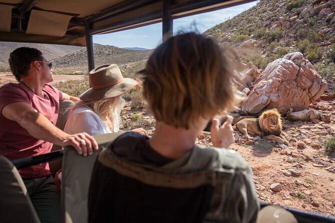 Big Five Safari Experience Near Cape Town ,South Africa - Who will enjoy this day most?