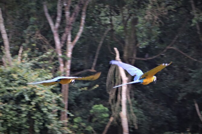 Birds of Eden Admission Ticket - What you can see along the 1.2-kilometer route