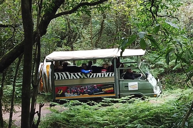 Blackwater Tubing Green Route Forest Adventure - The 6-metre jump and gentler alternatives