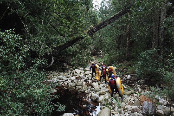 Blackwater Tubing Green Route Forest Adventure - Walking 250 metres along the riverbed