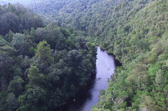 Blackwater Tubing Green Route Forest Adventure - Equipment, food, and what to bring