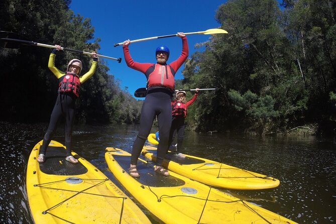 Blackwater Tubing Green Route Forest Adventure - Flat-water tubing beneath the Tsitsikamma Forests