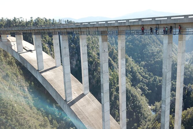 Bloukrans Skywalk Tour and HangOut Zone - Why the skywalk works for non-jumpers