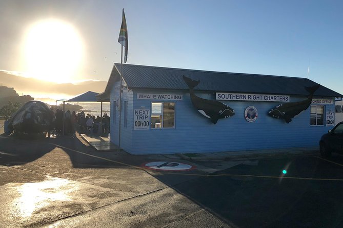 Boat Based Whale Watching from Hermanus - Private touring and the price of $287.84