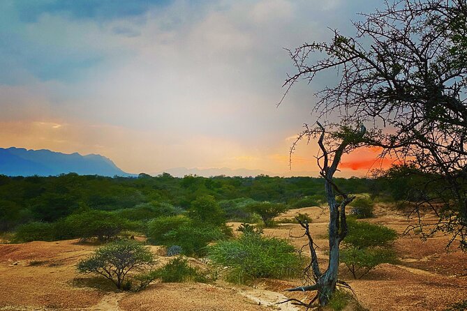 Boat & Safari Combo - Blyde Dam Boat Cruise & Private Safari - Wildlife, birds, and the limits of a promise
