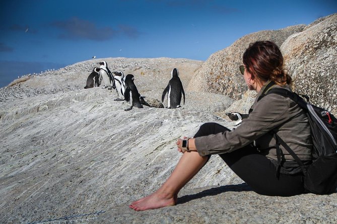 Boulders Beach Cape Town: Swimming With Penguin & Close Encounter Half Day Tour - Chapmans Peak Drive: the scenic heart of the road trip