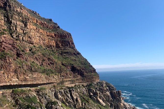 Boulders Beach Penguins and Seal Island Boat Trip Half Day Tour - Why this half-day tour works in Cape Town