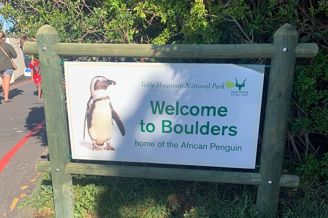 Boulders Beach Penguins and Seal Island Boat Trip Half Day Tour - Chapman’s Peak Drive and the best photo stop