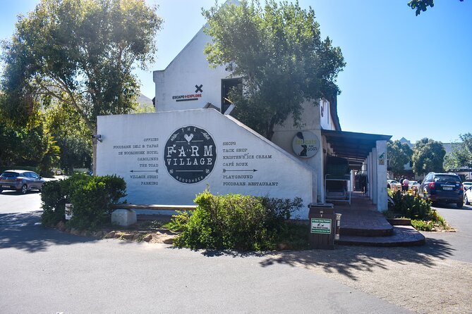 Boulders Beach Penguins Half Day Tour - What the guide adds to the day