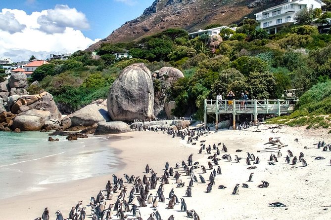 Breath-taking Cape Peninsula Tour - What the $86.58 price really covers