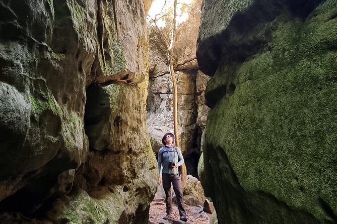 Breathtaking Table Mountain Guided Hike - Off the Beaten Track! - The real cost of the $105 price