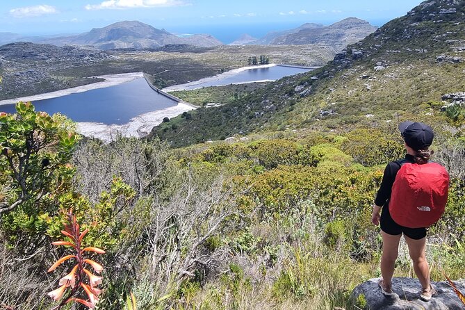 Breathtaking Table Mountain Guided Hike - Off the Beaten Track! - Who should book this experience?