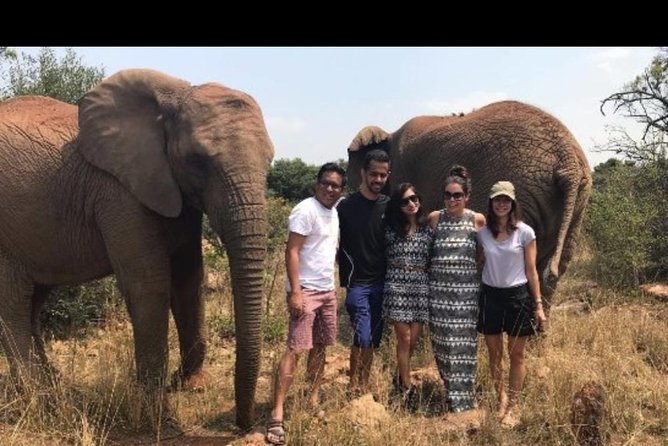 Bush Babies & Monkey Sanctuary and Elephants walk Private - From Johannesburg to Hartbeespoort Dam