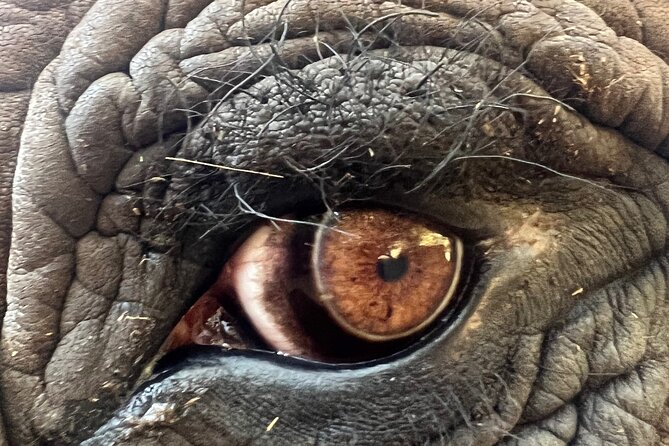 Bush Babies & Monkey Sanctuary and Elephants walk Private - Is $207.80 per person good value?