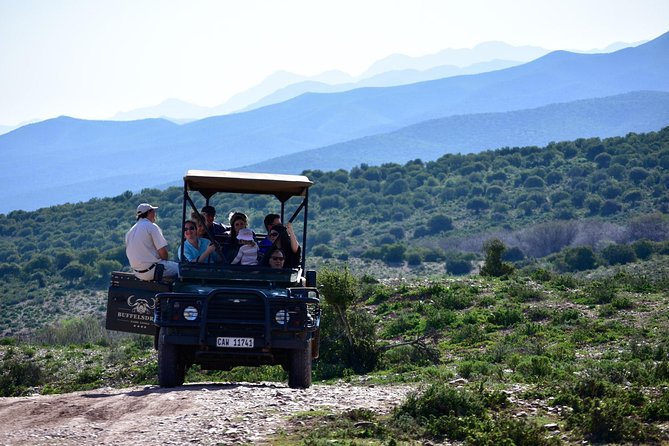 Bush Safari - Key points at a glance