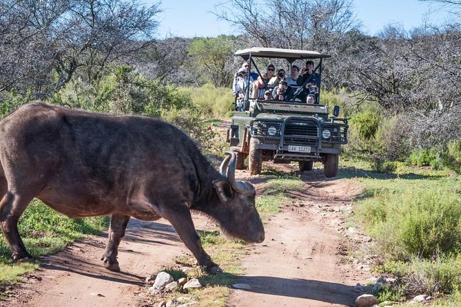 Bush Safari - The halfway refreshment stop and Swartberg views