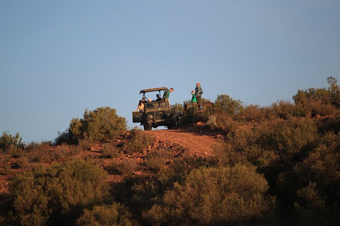 Bush Safari - Is the $43 price good value?