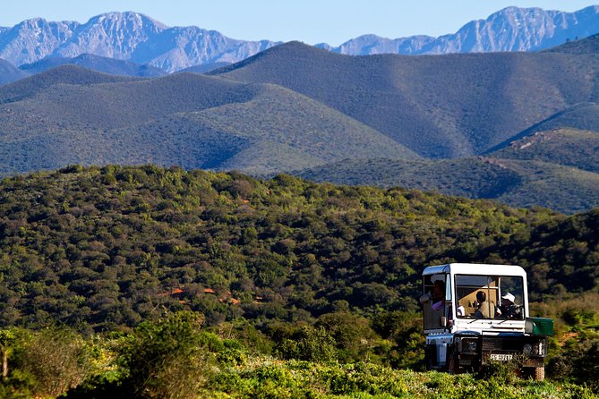 Bush Safari - What the guide adds to the experience