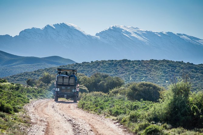 Bush Safari - Who should book this safari?
