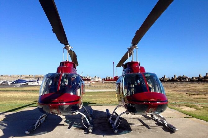 Camps Bay and Hout Bay Helicopter Tour from Cape Town - The pilot commentary makes a real difference