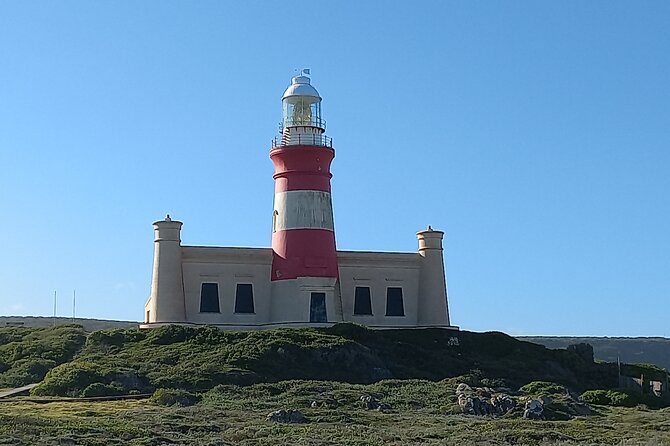 Cape Agulhas Full Day Private Tour - Stony Point at Betty’s Bay and its African penguins