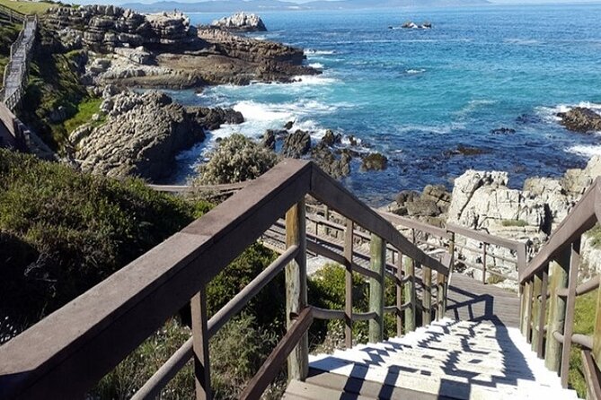 Cape Agulhas Full Day Private Tour - Who will enjoy this day most