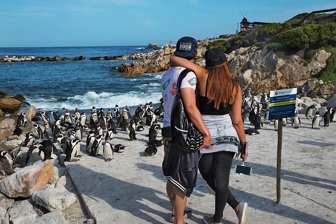 Cape Agulhas Full Day Private Tour from Cape Town - Who will enjoy this day most