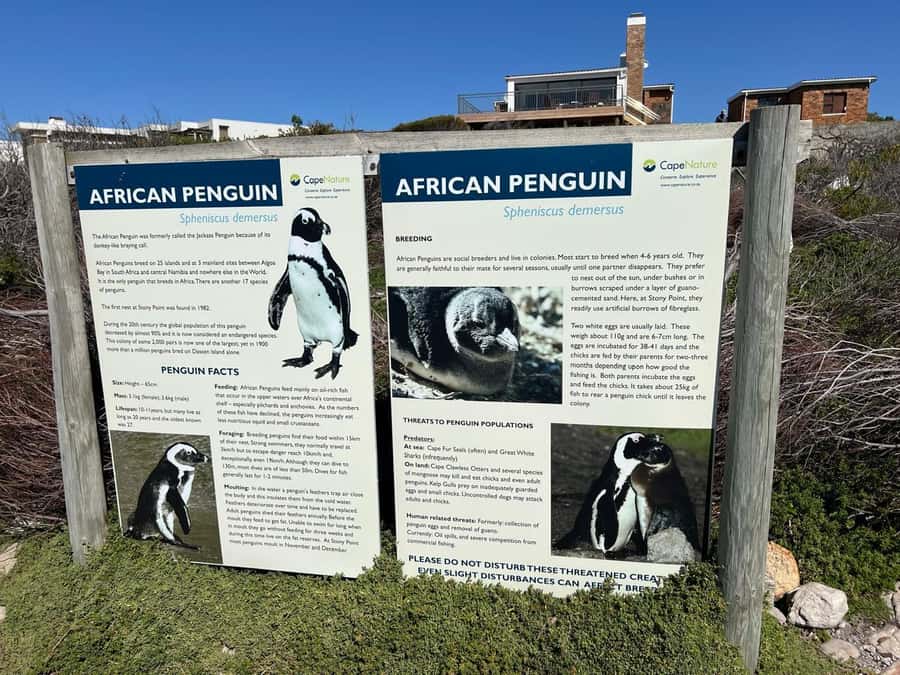 Cape Agulhas, Hermanus whales & Wine Tasting Day Trip - Who will enjoy this Cape Town outing
