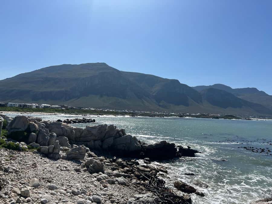 Cape Agulhas, Hermanus whales & Wine Tasting Day Trip - Hermanus and the chance of Southern Right Whales