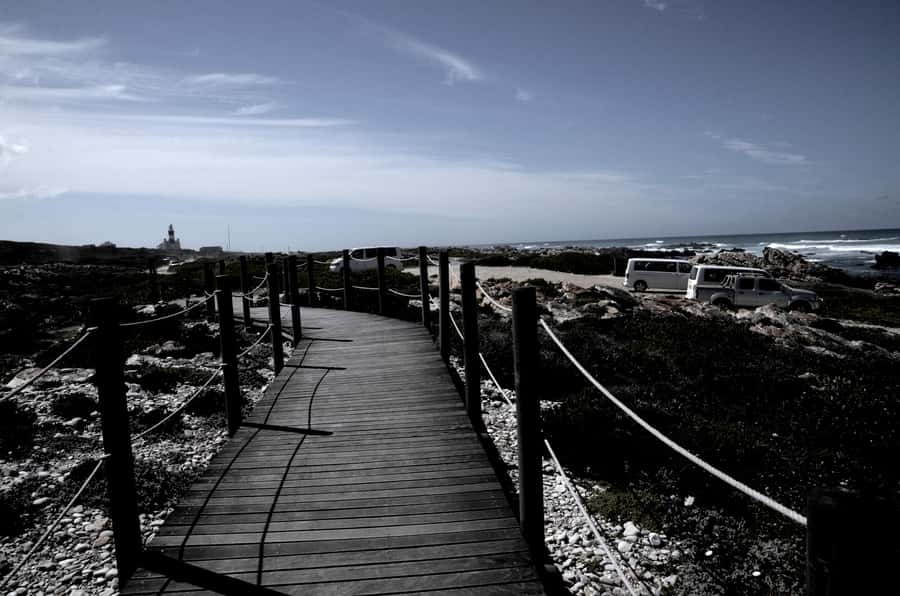 Cape Agulhas Tour from Cape Town - Who will enjoy this Cape Agulhas day trip?