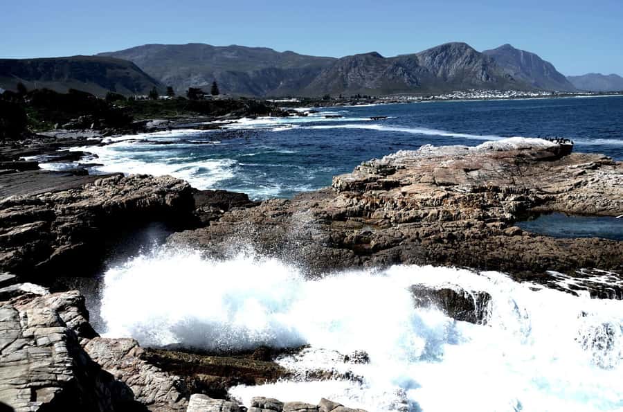 Cape Agulhas Tour from Cape Town - Why Cape Agulhas is worth the long road
