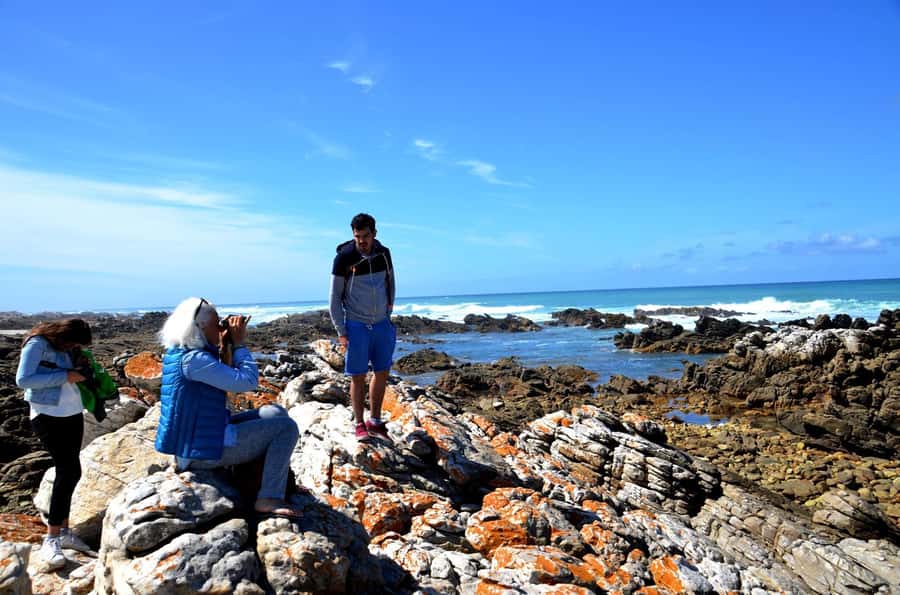 Cape Agulhas Tour from Cape Town - Farm scenery and the Caledon refreshment stop