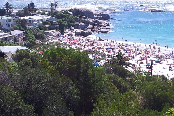 Cape of Good Hope and Cape Winelands Day Tour from Cape Town - Chapman’s Peak Drive is the scenic centerpiece