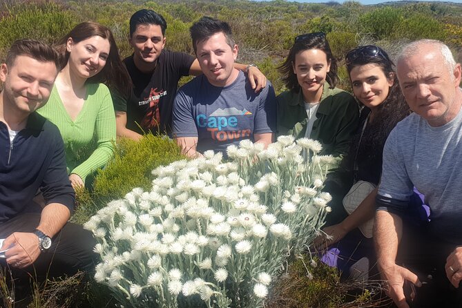 Cape of Good Hope and Cape Winelands Day Tour from Cape Town - Boulders Beach brings you close to African penguins