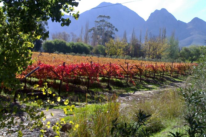 Cape of Good Hope and Cape Winelands Day Tour from Cape Town - What the $160 price really covers
