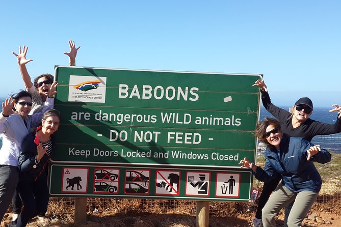 Cape of Good Hope and Cape Winelands Day Tour from Cape Town - Clifton and Camps Bay set the tone