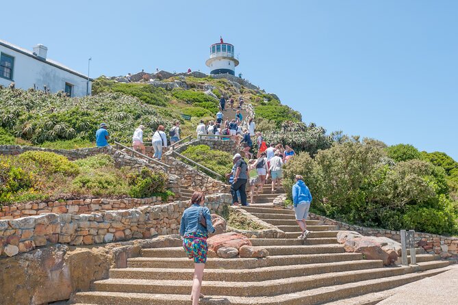 Cape Of Good Hope and Penguins Full Day Small Group Tour from Cape Town - Chapman’s Peak Drive and Noordhoek